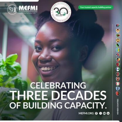 MEFMI Celebrating 3 Decades